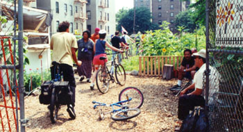 A garden tour in the South Bronx.