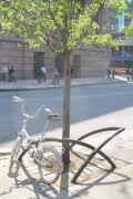 Bike Rack/Tree Guard: X-style at Astor Place. Photo by Jym Dyer.