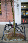 Bike Rack/Tree Guard: X-style at Peck Slip. Photo by Jym Dyer.
